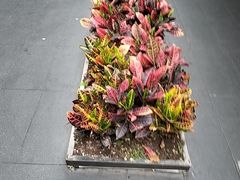 -阿伟海鲜楼·福建菜(涵江店)