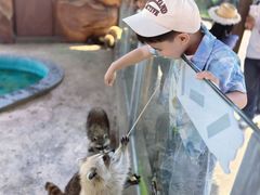 -福州罗源湾海洋世界旅游区