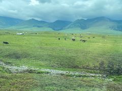 -新疆那拉提国家旅游度假区