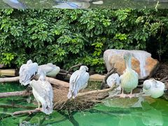 -珠海长隆海洋王国