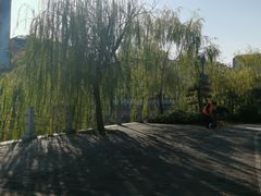 -孺子亭公园