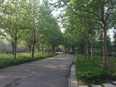 -秀水公园