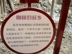 -太阳宫公园