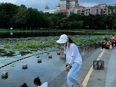 -映月湖公园