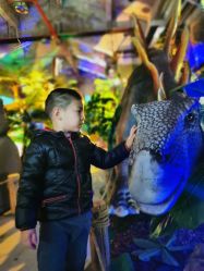 -恐龙探索乐园(磁器口店)