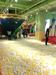 -宝燕乐园(闵行旗舰店)