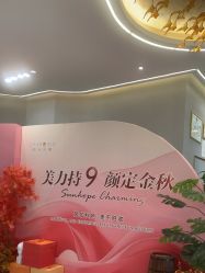-美瑞莎创美医疗美容
