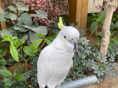 -南宫五洲植物乐园