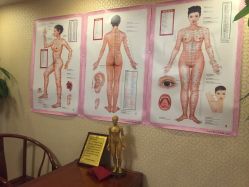 -养月堂中医养生月子会所(中心妇产店)