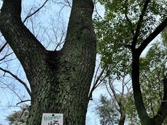 -狼山风景名胜区