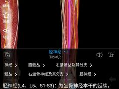 -裕和堂中医推拿艾灸(太古汇臻品店)