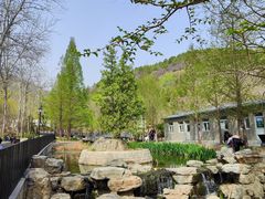 -白水寺森林公园