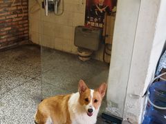 -茶米人台湾料理·精致快简餐
