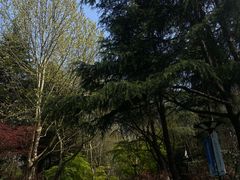 -上海吴淞炮台湾国家湿地公园