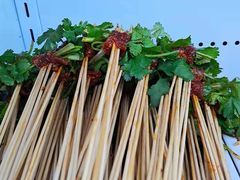 -袁记串串香(川师店)