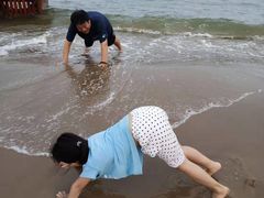 -秦皇岛阿尔卡迪亚滨海度假酒店
