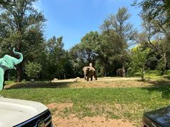 -北京野生动物园