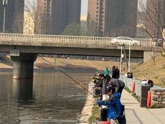 -坝河休闲公园