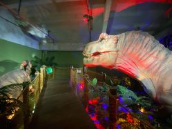 -恐龙探索乐园(磁器口店)