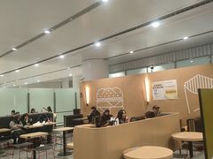 -麦当劳(北京大兴机场二层国内到达(安检外)店)