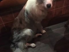 -TiKi餐厅酒吧