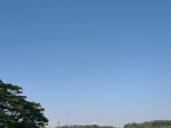 -东莞植物园