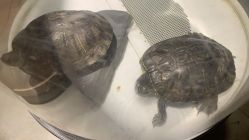 -酷嗒动物文化乐园(cutezoo西溪乐天城店)