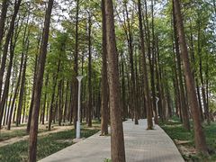 -汉水公园