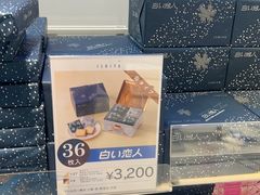 -大阪国际机场