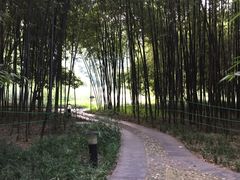 -河南省黄河迎宾馆