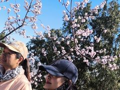 -北京鹫峰国家森林公园