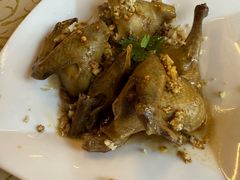 -百利鸽王(紫薇路店)