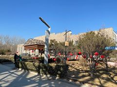 -南宫五洲植物乐园