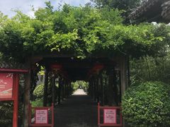 -有喜胶东小馆(超极合生汇太申祥和店)