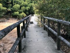 -宝界山林公园