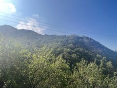 -阳台山自然风景区