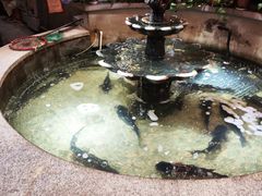 -万里闯关东铁锅炖菜馆(高新旗舰店)