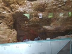 -上海昆虫博物馆