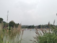 -枫香湖儿童公园