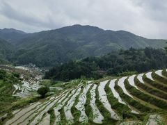 -福建土楼(南靖)景区