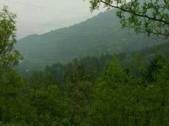 android_upload_pic-中国航空博物馆