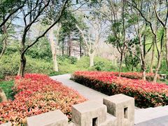 -蠡湖中央公园