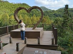 -东明山森林公园