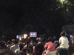 -夜间野生动物园
