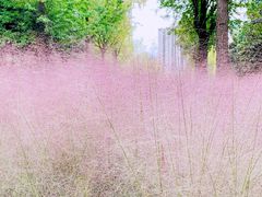 -苏州河梦清园环保主题公园