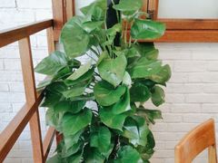 -7017浙菜•建德味(市心北路店)