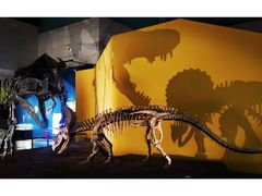 -湖南省地质博物馆