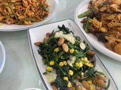 -同发号饭庄(复兴路店)