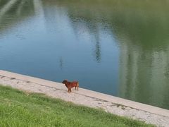 -四里河滨水生态公园