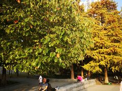 -运河游船(武林门码头)